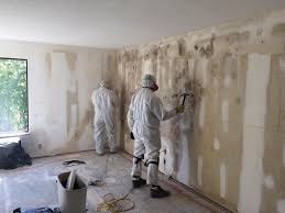  , USA Mold Removal Services Pros